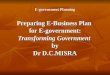 Misra, D.C. (2009): Preparing E Business Plan for E-government_ MDI_ 11.2.2009
