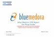 Blue Medora IBM Tivoli Monitoring (ITM) Agent for Ping Probe