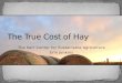 The True Cost of Hay