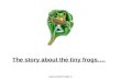 331269 42717 secrets_of_life_tiny_frogs