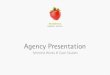 Brainberry Agency Presentation