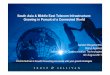 South Asia and Middle East Telecom Infrastructure - Analyst Briefing