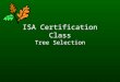 Isa tree selection