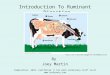 Intro to ruminant digestion