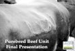 Student Managed Farm Purebred Beef Final Presentation April 2014