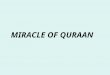 Miracle Of Quran