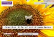 Creative life of citizenscience