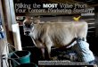 Milking the MOST Value From Your Content Marketing Strategy