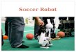 Soccer Robot