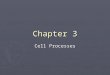 Chapter 3- macromolecules, cell processes
