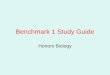Benchmark 1 study guide