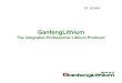 International Lithium Strategic Partner Ganfeng Lithium Presentation