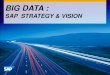Big Data: le sfide della gestione dei dati e i nuovi scenari SAP