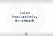 The Sales Productivity Benchmark: Rate your Sales Force Against World Class