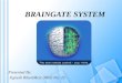Brain Gate System