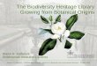 The Biodiversity Heritage Library: Growing from Botanical Origins