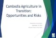 Cambodia Agriculture in Transition: Opportunities and Risks