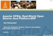 Apache OFBiz: Real-World Open Source Java Platform ERP
