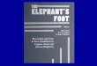 Dr. Blair Csuti's talk about captive elephant care