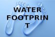 "Water footprint"
