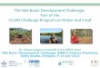 The Nile Basin Development Challenge: Part of the CGIAR Challenge Program on Water and Food