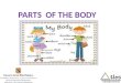 Parts of the Body 2