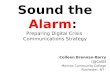 Sound the Alarm: Preparing Digital Crisis Communication Strategy (rev.)