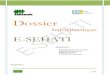 Dossier informatique E-SEHATI