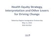 Health Equity Strategy, Interpretation and Other Levers for Driving Change