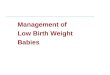 Management of lbw low birthweight babies