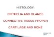 HISTOLOGY: EPITHELIA AND GLANDS CONNECTIVE TISSUE PROPER CARTILAGE AND BONE