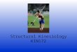 3.%20 Structural%20 Kinesiology