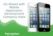 Go ahead with mobile application development comapny india – perception system