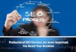 Professional seo services are more important for boost your business