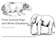 From guinea pigs and white elephants
