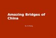 China's amazingbridges(m)