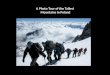A photo tour of the tallest mountains in poland