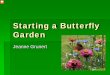 Starting a Butterfly Garden