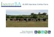 18,595 Hectare Cattle Farm in Cordoba Argentina