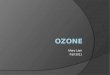 Ozone layer  mary lam