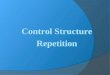 Repetition Structure