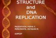 DNA STRUCTURE & DNA REPLICATION