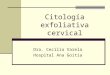 Citologia exfoliativa cervical