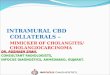 Intramural collaterals- case report by DR. RUSHABH G SHAH