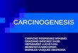Carcinogenesis (2)