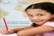 Clark county cluster_white_paper