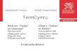 2012-03-06  Cyflwyniad TermCymru Presentation