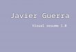 Javier's Visual Resume