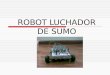 Robot Luchador De Sumo