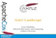 Axis2 Landscape